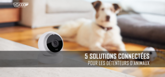 5 Solutions Connectées Pour Les Détenteurs D'Animaux