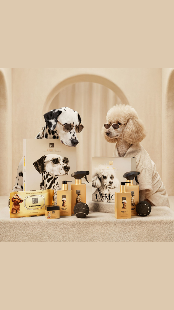 Bienvenue au Dog Spa